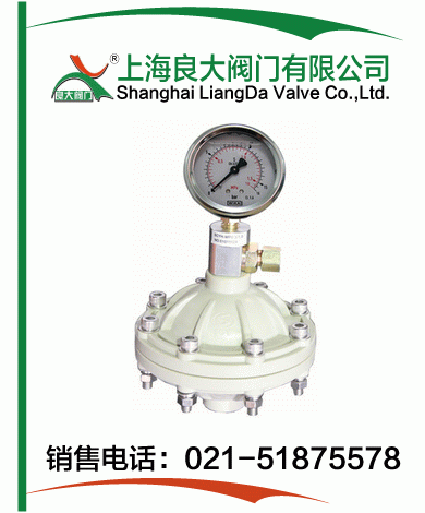 PP、PVDF脈沖阻尼器